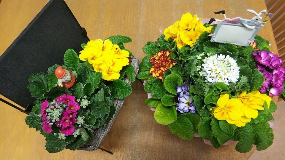 https://www.gurutto-fukushima.com/db_img/cl_img/283/news/images/app_nPn8NN_202201211920.jpg