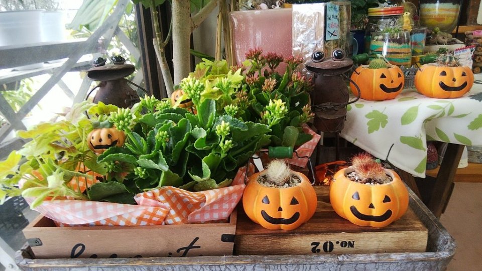 https://www.gurutto-fukushima.com/db_img/cl_img/283/news/images/app_s1OGGZ_202210141220.jpg