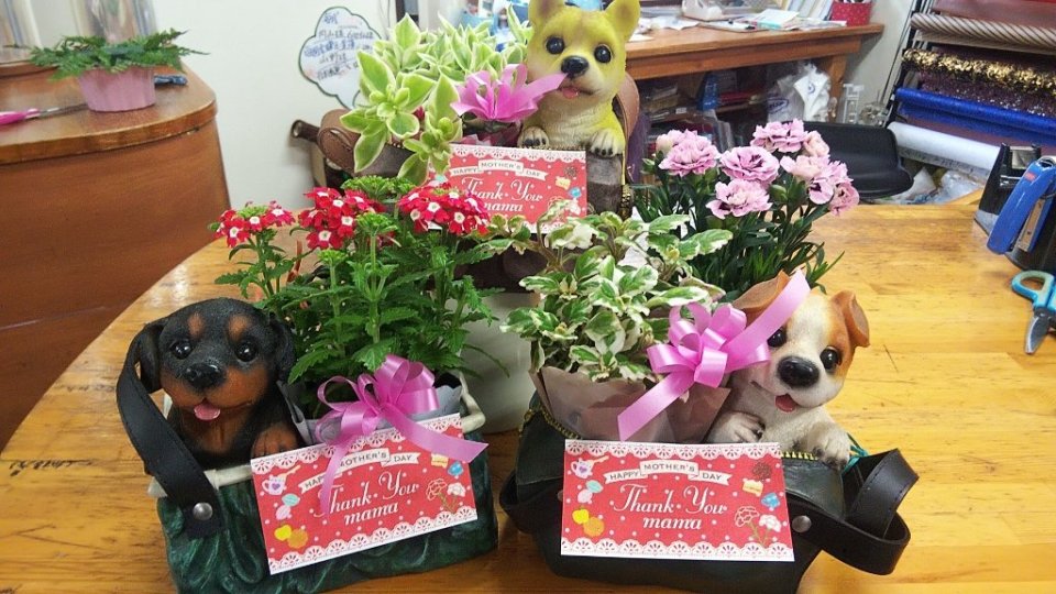 https://www.gurutto-fukushima.com/db_img/cl_img/283/news/images/app_vrQpK9_202205011200.jpg