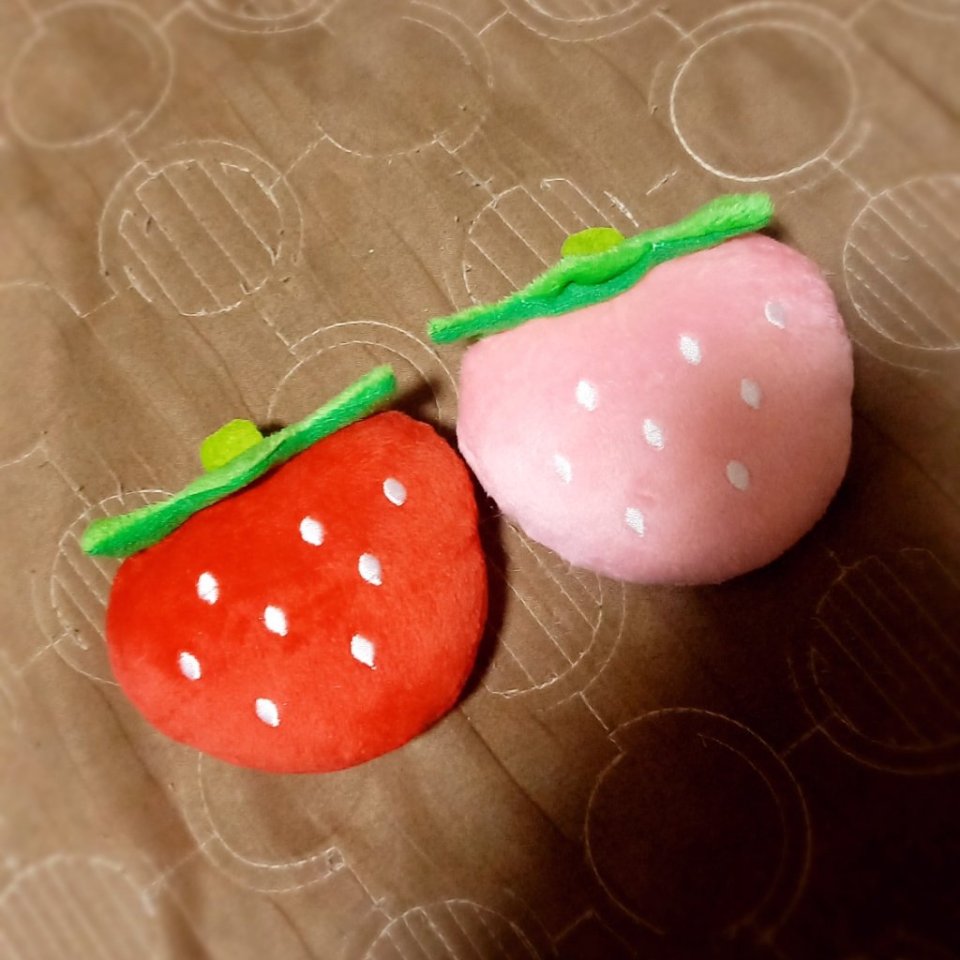 https://www.gurutto-fukushima.com/db_img/cl_img/468/news/images/app_0D13cq_202410182021.jpg