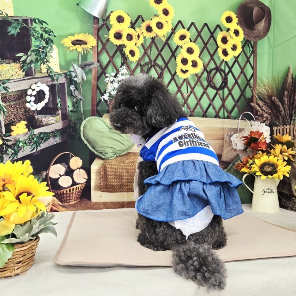 https://www.gurutto-fukushima.com/db_img/cl_img/468/news/images/app_43fbXh_202606302202.jpg