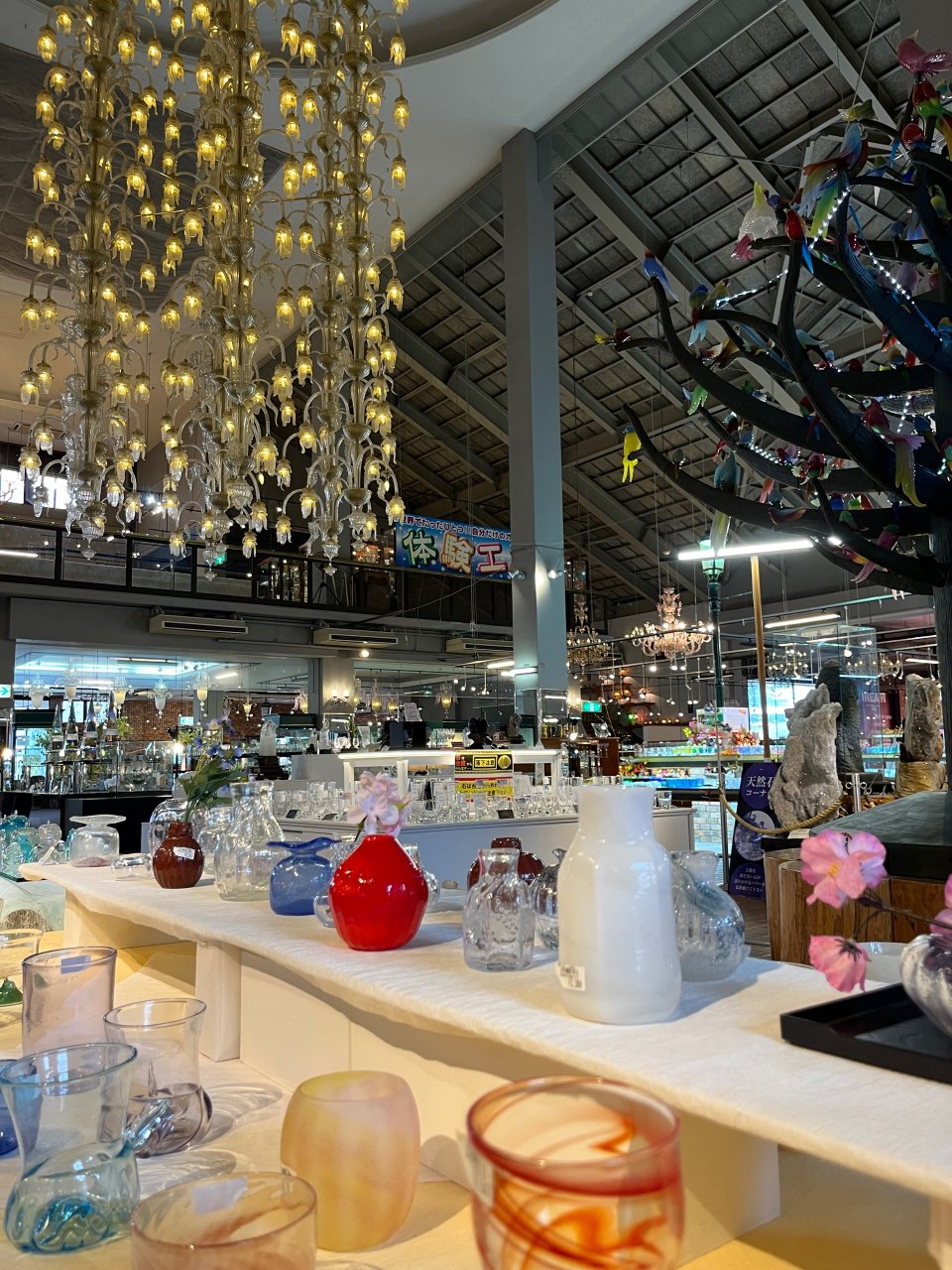 福島市の可愛いペット大集合! | I♥PETs(アイラブペット)