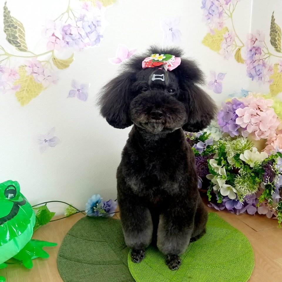https://www.gurutto-fukushima.com/db_img/cl_img/468/news/images/app_5raSCK_202405302302.jpg
