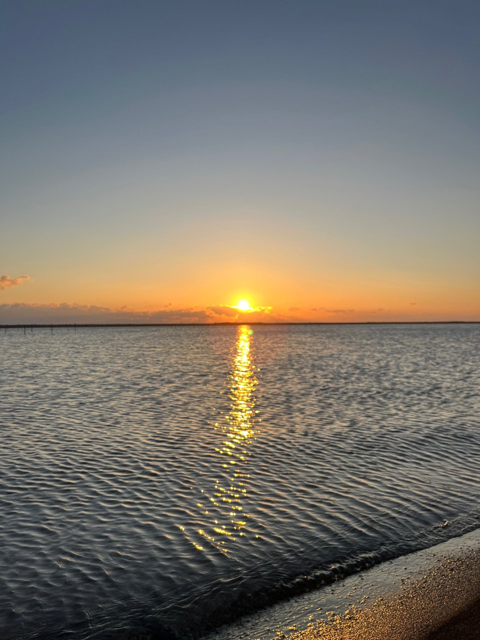 福島市の可愛いペット大集合! | I♥PETs(アイラブペット)