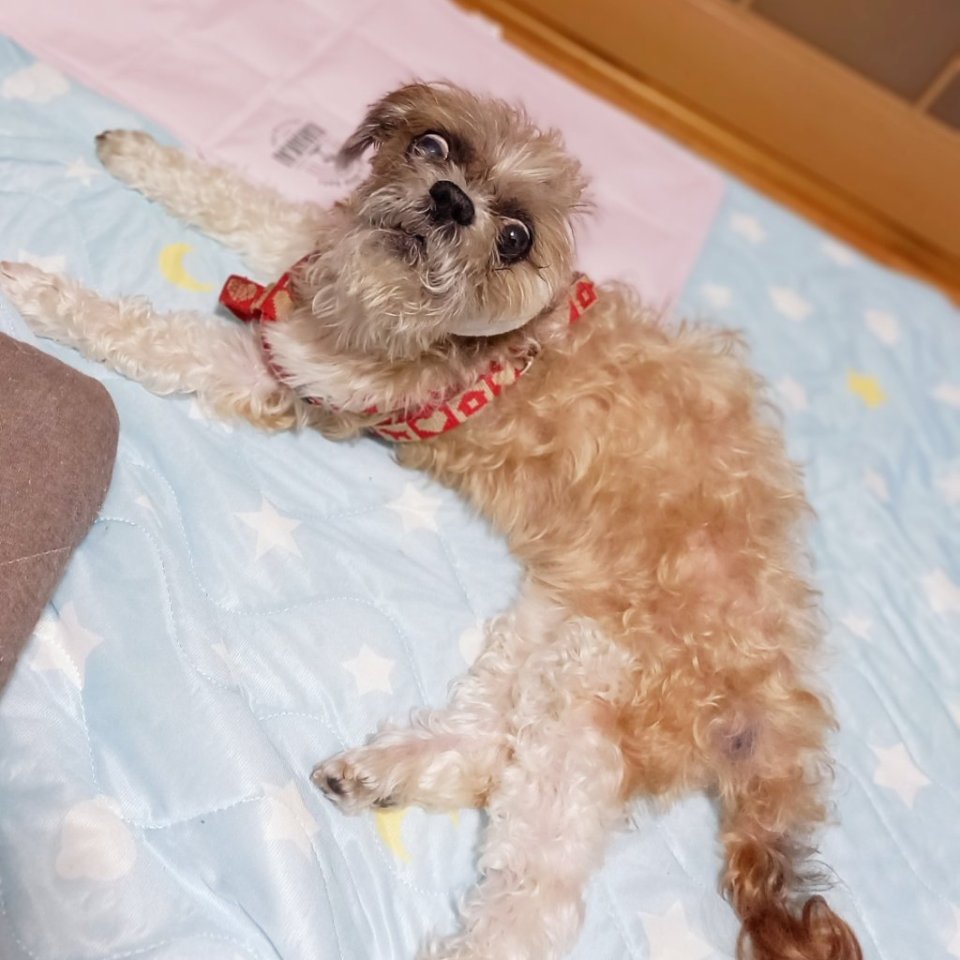 https://www.gurutto-fukushima.com/db_img/cl_img/468/news/images/app_9UFNLl_202308041324.jpg