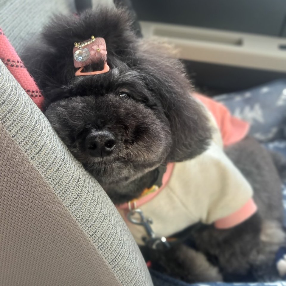 https://www.gurutto-fukushima.com/db_img/cl_img/468/news/images/app_Fs5lSt_202402031926.jpg