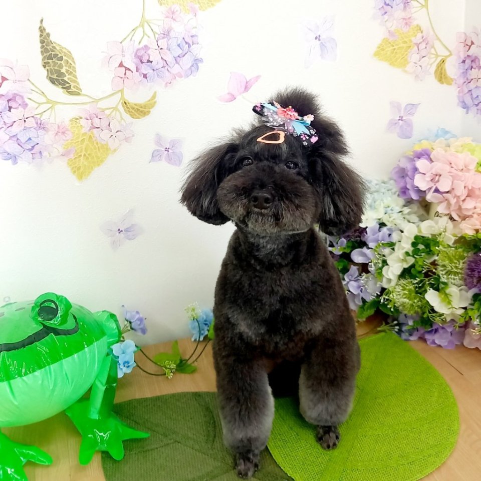 https://www.gurutto-fukushima.com/db_img/cl_img/468/news/images/app_JVYWnO_202404301825.jpg