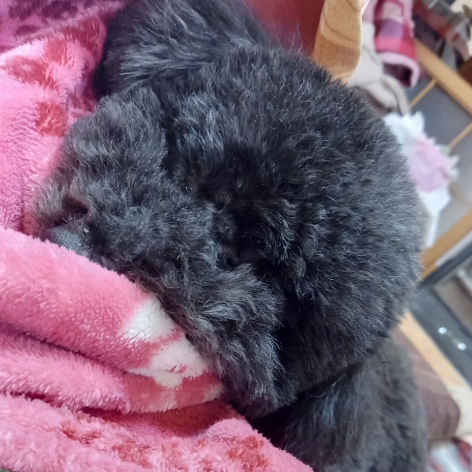 https://www.gurutto-fukushima.com/db_img/cl_img/468/news/images/app_K8qAZr_202304261922.jpg