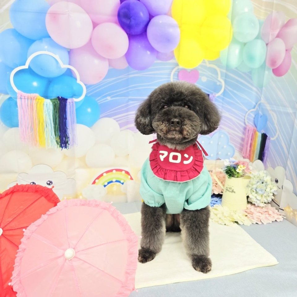 https://www.gurutto-fukushima.com/db_img/cl_img/468/news/images/app_Kh9S0y_202604302053.jpg