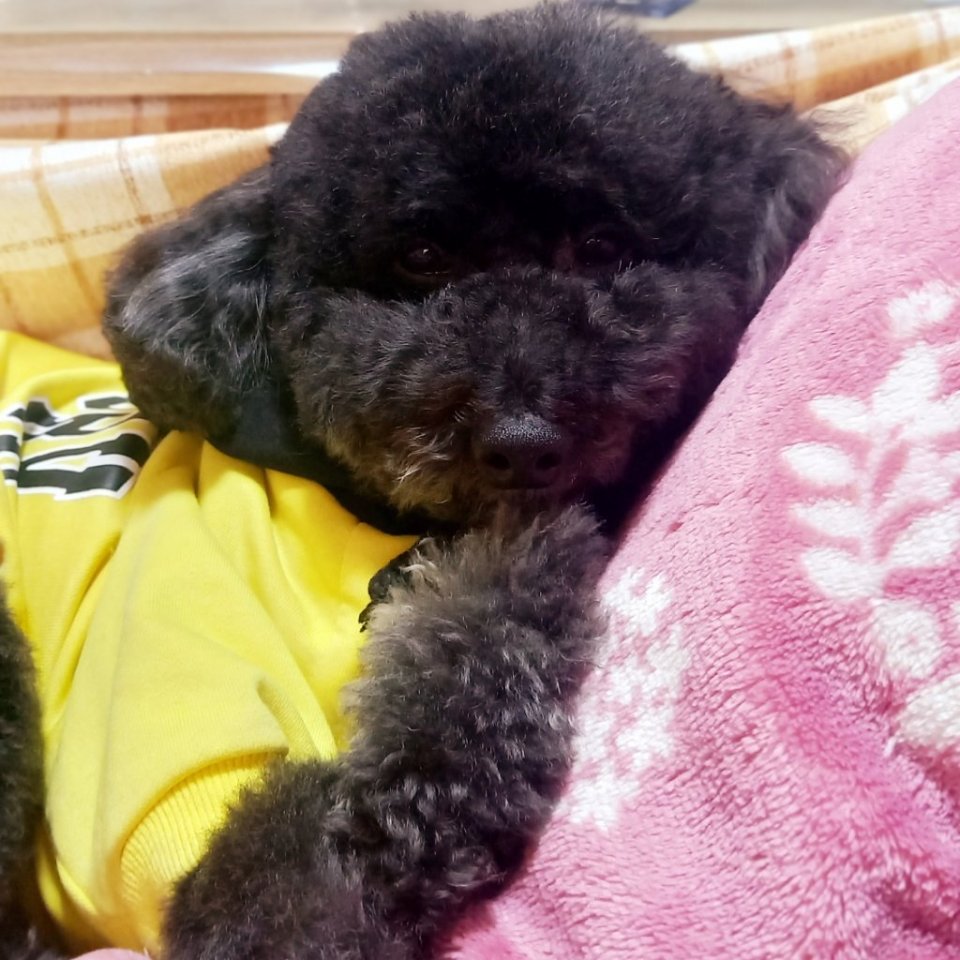 https://www.gurutto-fukushima.com/db_img/cl_img/468/news/images/app_KrpFsH_202305251422.jpg