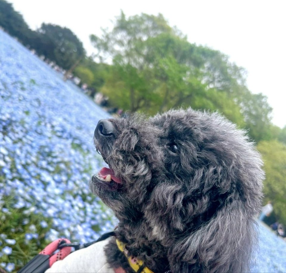 https://www.gurutto-fukushima.com/db_img/cl_img/468/news/images/app_MCzoxQ_202505032308.jpg