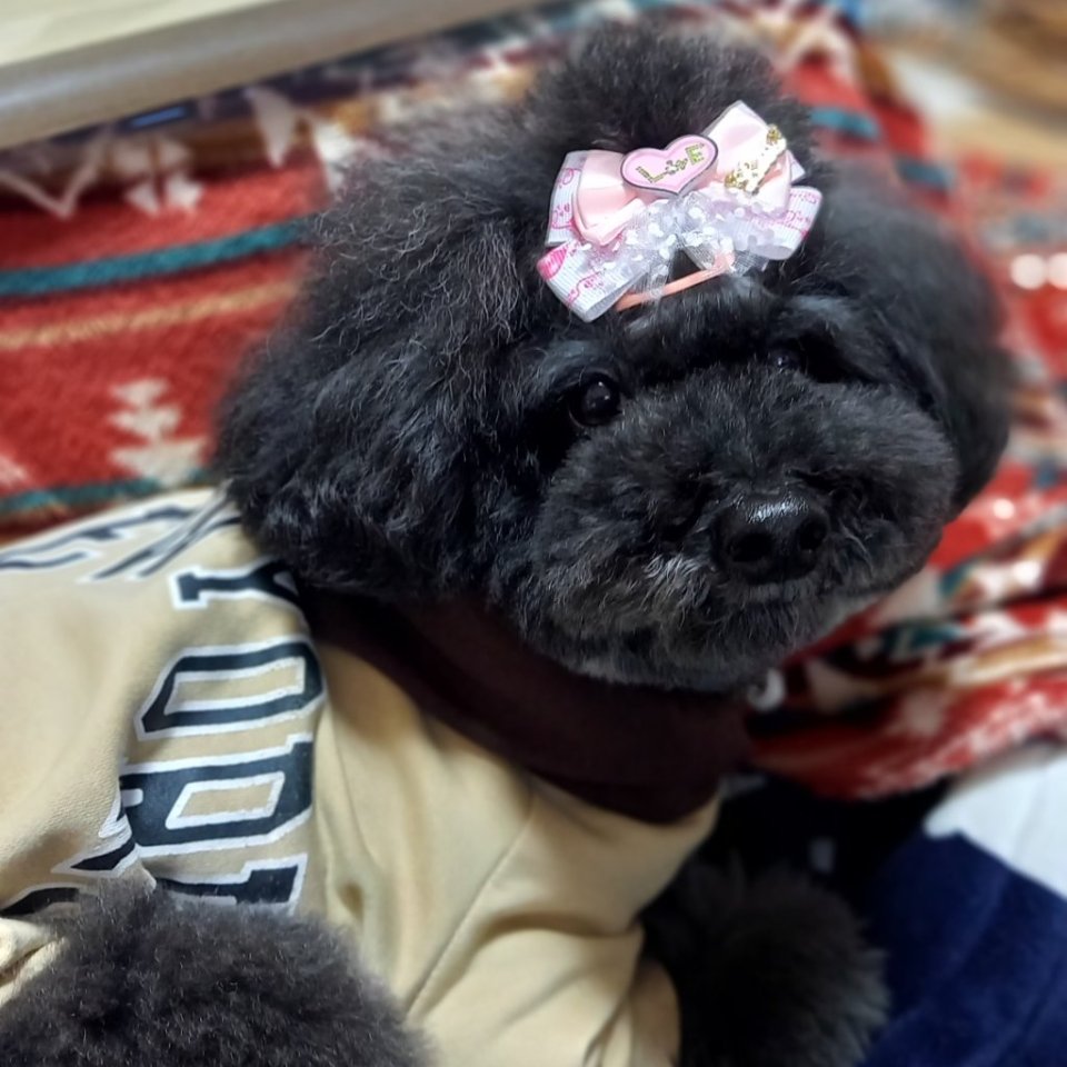 https://www.gurutto-fukushima.com/db_img/cl_img/468/news/images/app_MpUtVx_202402141813.jpg