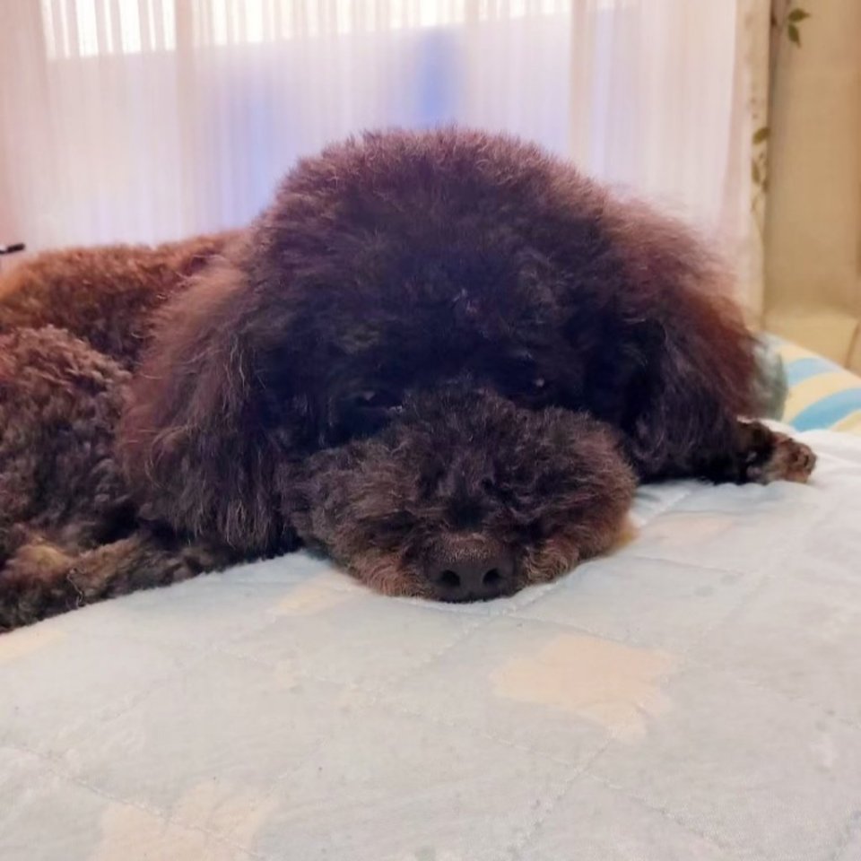 https://www.gurutto-fukushima.com/db_img/cl_img/468/news/images/app_NCZXIW_202305212013.jpg
