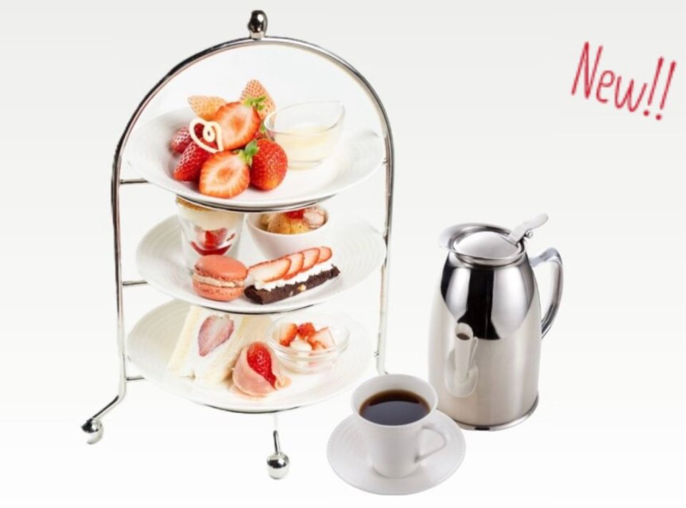 福島市の可愛いペット大集合! | I♥PETs(アイラブペット)