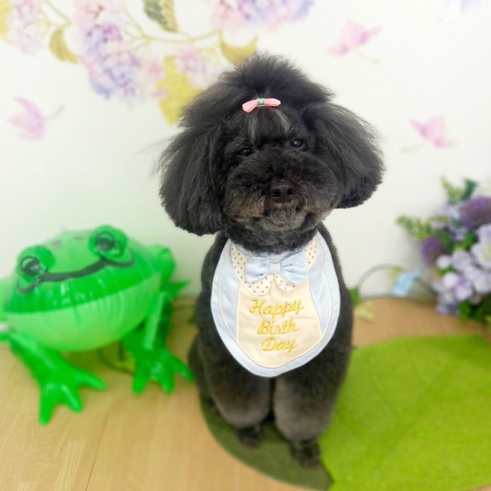 https://www.gurutto-fukushima.com/db_img/cl_img/468/news/images/app_SeqvKG_202406120917.jpg