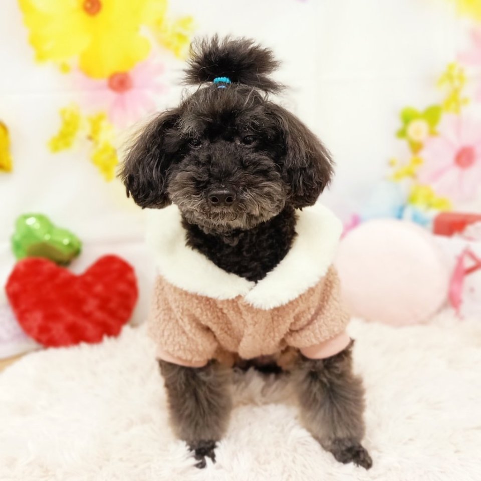 https://www.gurutto-fukushima.com/db_img/cl_img/468/news/images/app_TEf4TS_202401261754.jpg