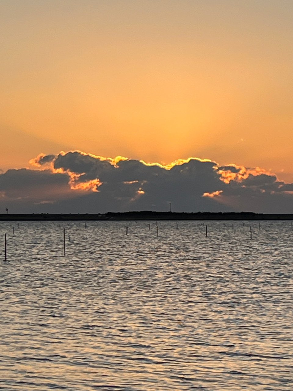 福島市の可愛いペット大集合! | I♥PETs(アイラブペット)