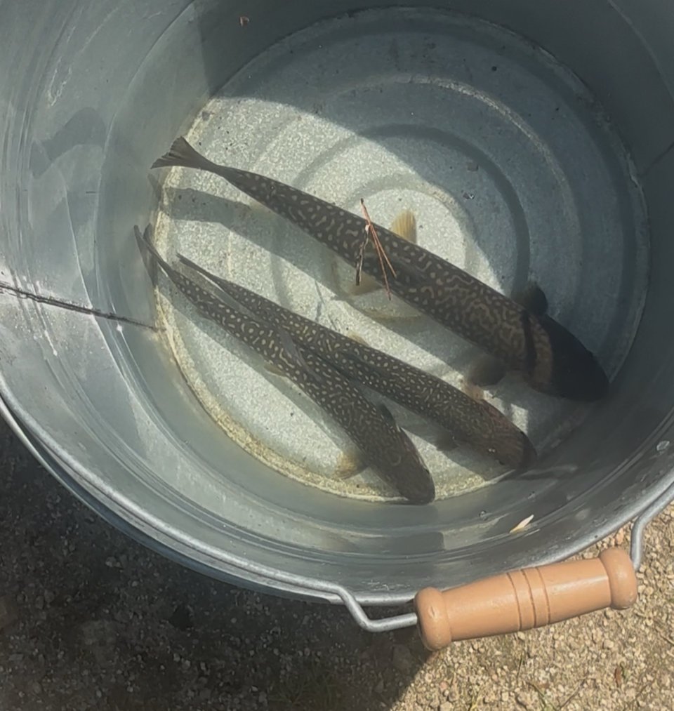 福島市の可愛いペット大集合! | I♥PETs(アイラブペット)