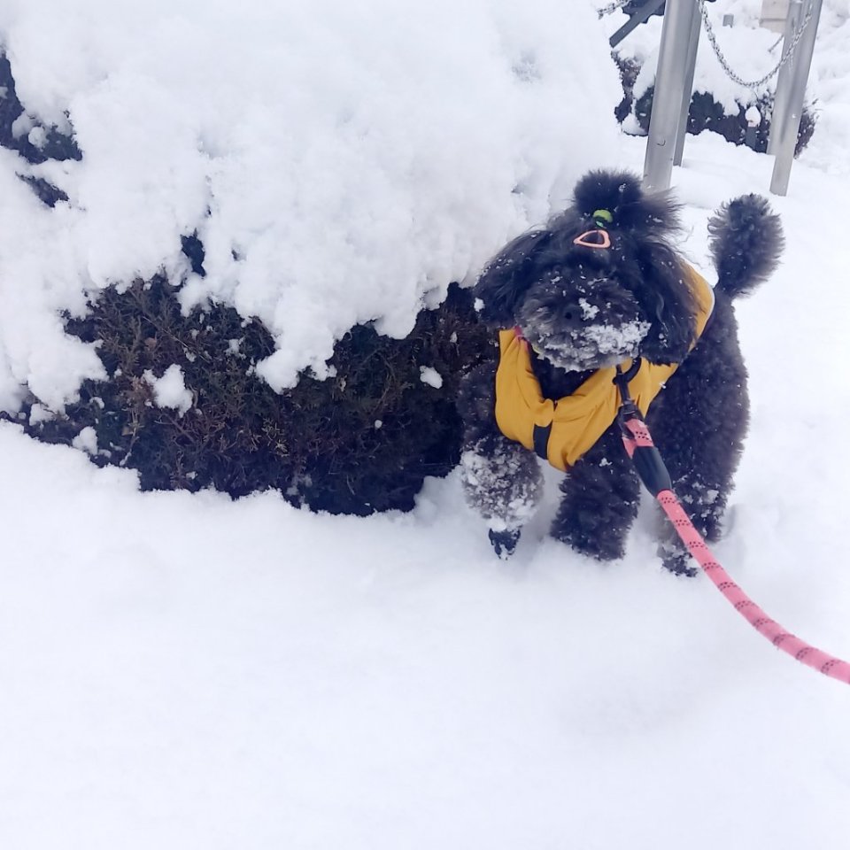 https://www.gurutto-fukushima.com/db_img/cl_img/468/news/images/app_axv1R6_202402061247.jpg