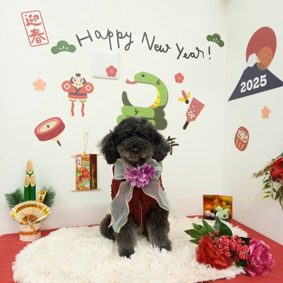 https://www.gurutto-fukushima.com/db_img/cl_img/468/news/images/app_br30aY_202412252027.jpg