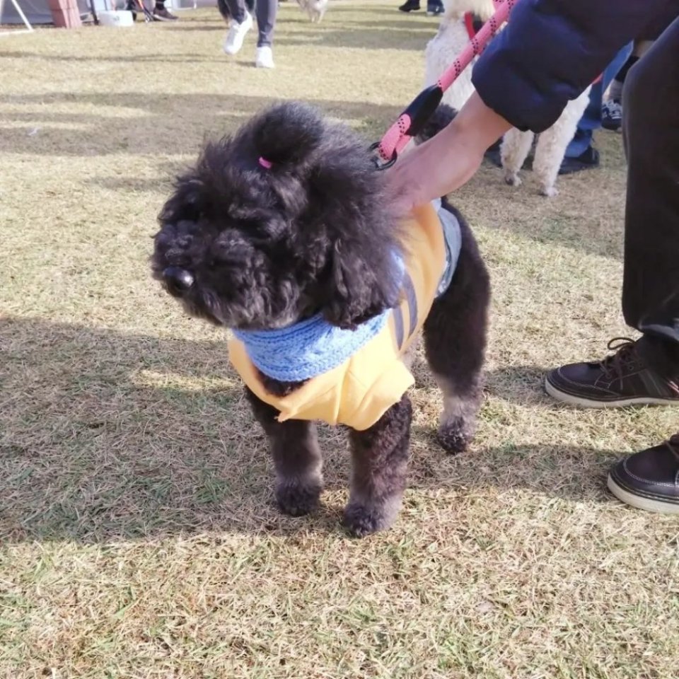 https://www.gurutto-fukushima.com/db_img/cl_img/468/news/images/app_ka6zc3_202311122127.jpg