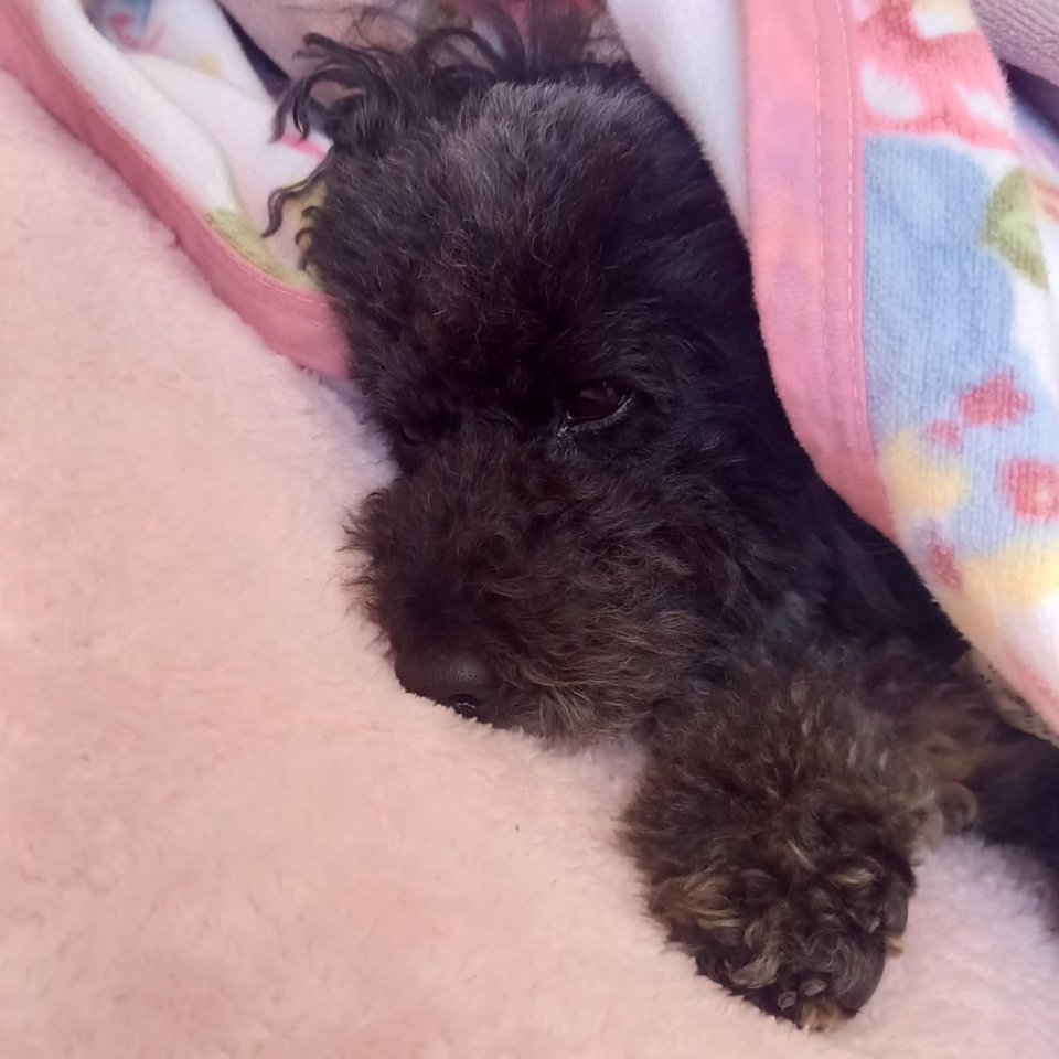 https://www.gurutto-fukushima.com/db_img/cl_img/468/news/images/app_ml8olY_202411261332.jpg