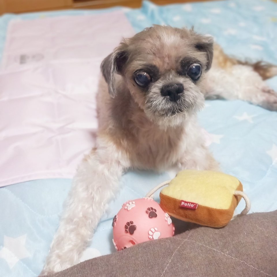 https://www.gurutto-fukushima.com/db_img/cl_img/468/news/images/app_oRT3I6_202308041324.jpg
