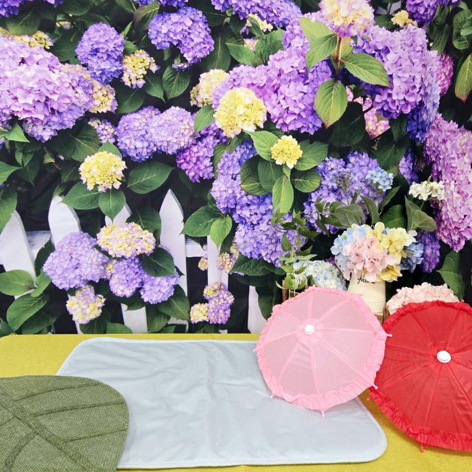 https://www.gurutto-fukushima.com/db_img/cl_img/468/news/images/app_tWJoHE_202505010654.jpg