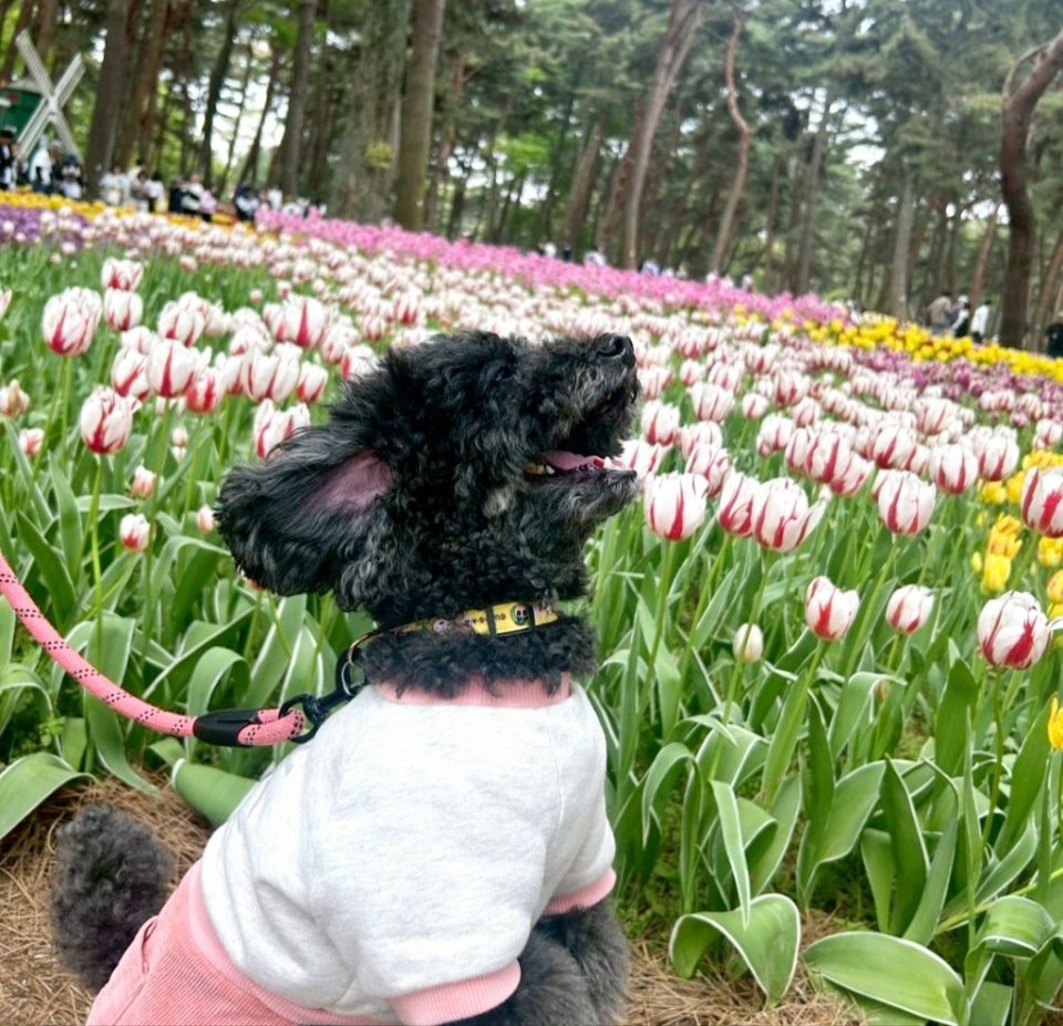 https://www.gurutto-fukushima.com/db_img/cl_img/468/news/images/app_uydNbW_202505032308.jpg