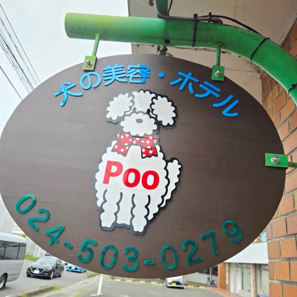 福島市の可愛いペット大集合! | I♥PETs(アイラブペット)