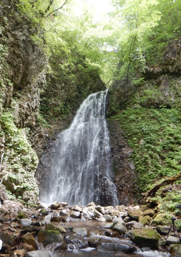 https://www.gurutto-fukushima.com/db_img/cl_img/812/news/images/app_VlJZGv_202205182306.jpg