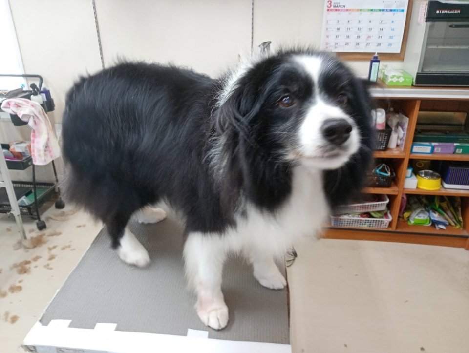 https://www.gurutto-fukushima.com/db_img/cl_img/836/news/images/app_0Lc14F_202503090850.jpg