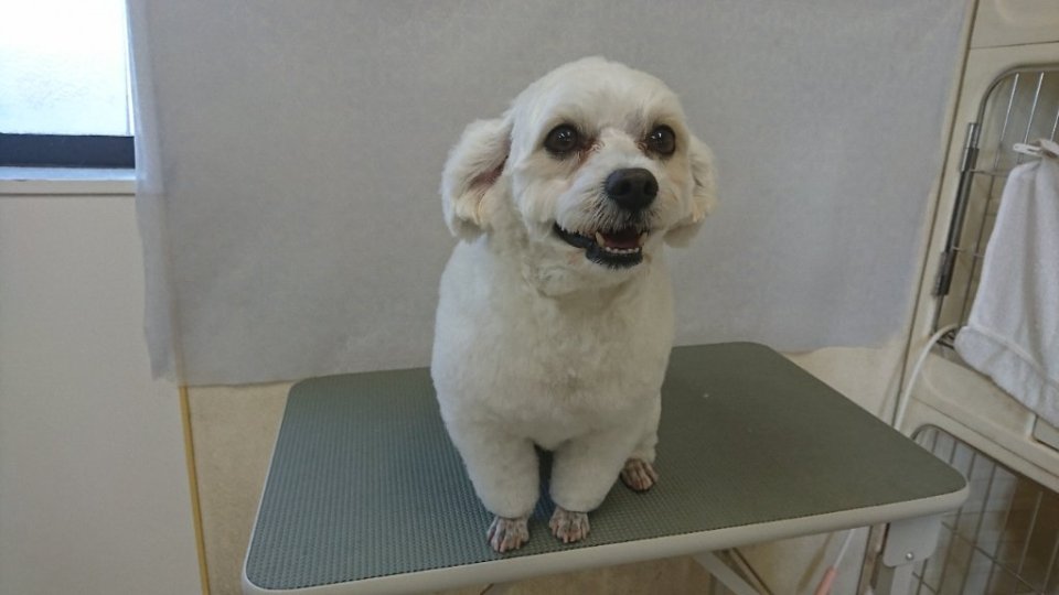 https://www.gurutto-fukushima.com/db_img/cl_img/836/news/images/app_0RM9Hv_202401311754.jpg
