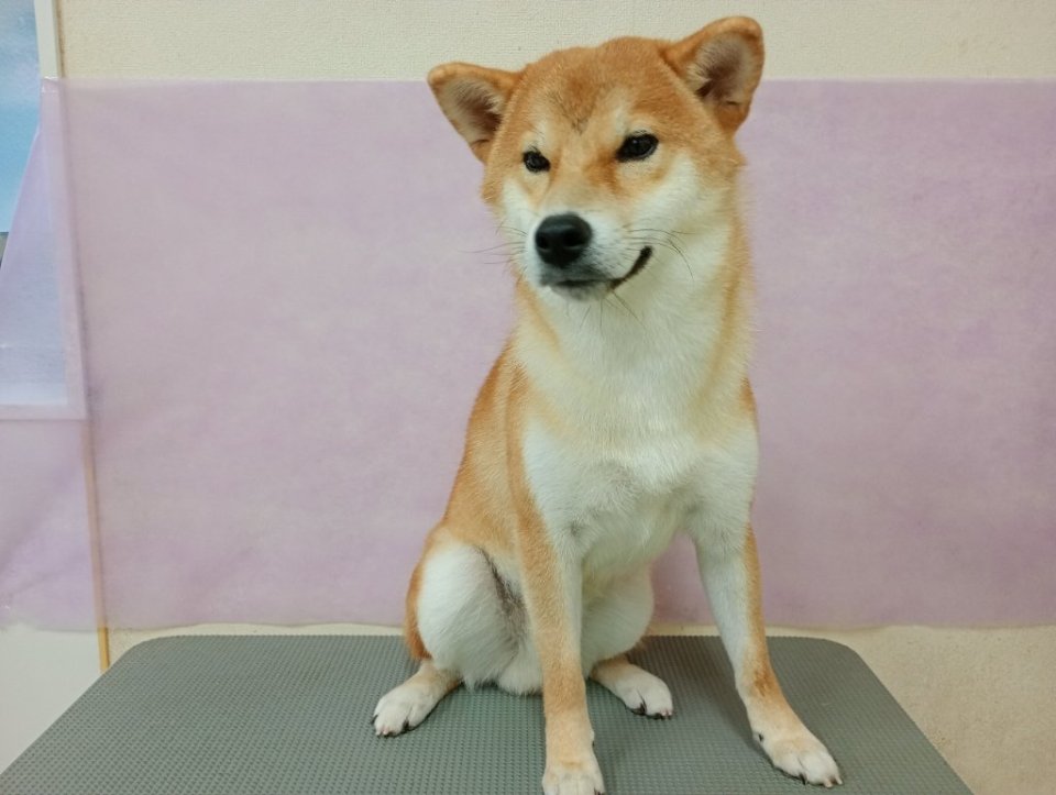 https://www.gurutto-fukushima.com/db_img/cl_img/836/news/images/app_3uMwdC_202607021733.jpg