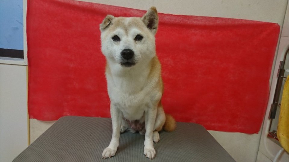 https://www.gurutto-fukushima.com/db_img/cl_img/836/news/images/app_4fLKrE_202402021804.jpg