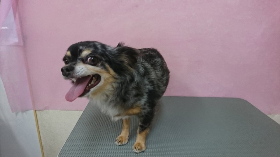 https://www.gurutto-fukushima.com/db_img/cl_img/836/news/images/app_7J2ekq_202409201720.jpg