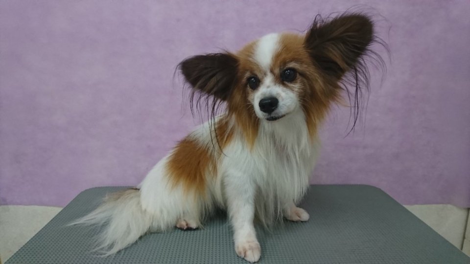 https://www.gurutto-fukushima.com/db_img/cl_img/836/news/images/app_9r156I_202410281729.jpg