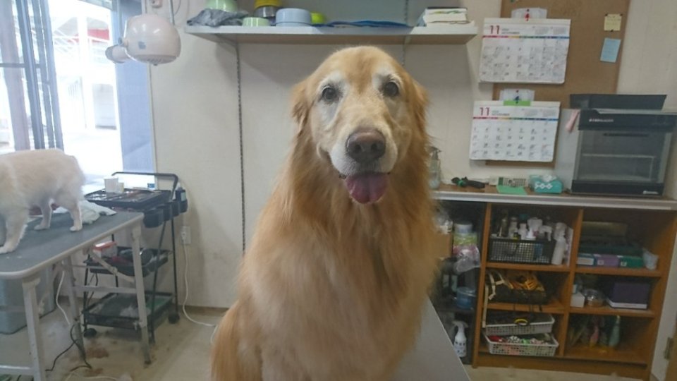 https://www.gurutto-fukushima.com/db_img/cl_img/836/news/images/app_9unE5B_202411291742.jpg