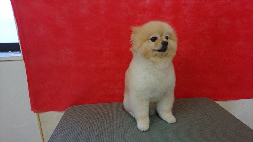 https://www.gurutto-fukushima.com/db_img/cl_img/836/news/images/app_ANl0NB_202311111815.jpg