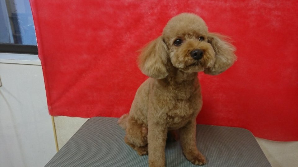 https://www.gurutto-fukushima.com/db_img/cl_img/836/news/images/app_BbkG6C_202404221831.jpg