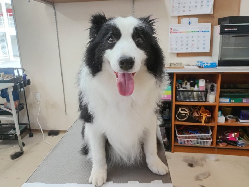 https://www.gurutto-fukushima.com/db_img/cl_img/836/news/images/app_CYsQfl_202503311740.jpg