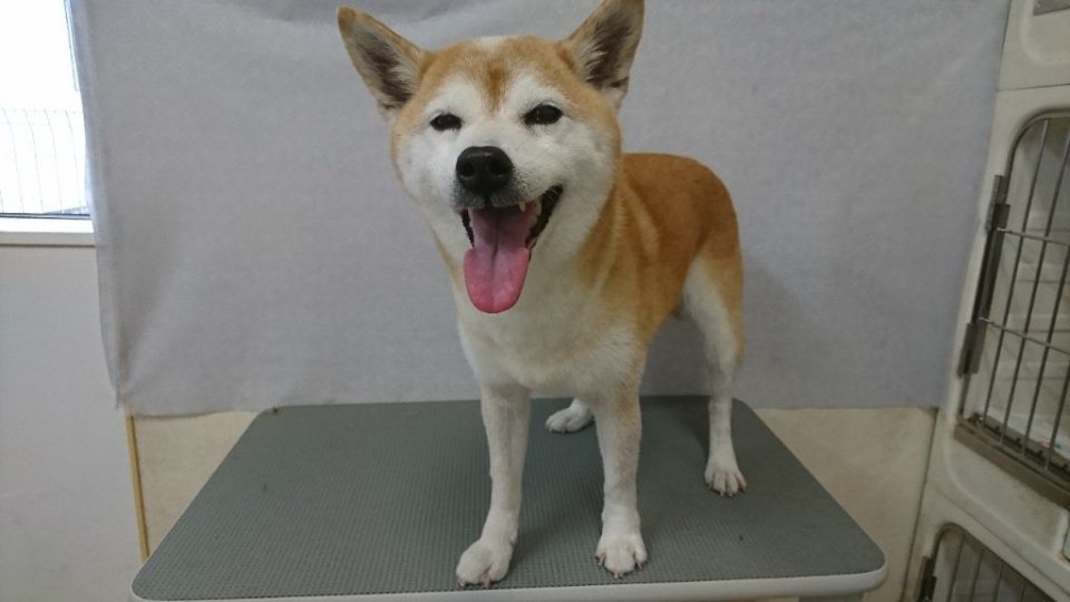 https://www.gurutto-fukushima.com/db_img/cl_img/836/news/images/app_CcWiVf_202405061823.jpg
