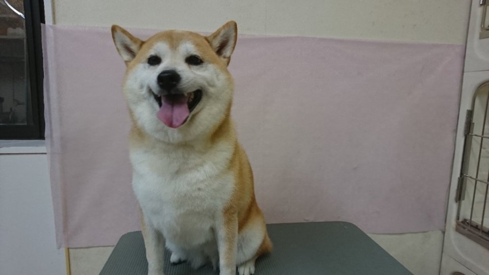 https://www.gurutto-fukushima.com/db_img/cl_img/836/news/images/app_CdhXjZ_202311041810.jpg