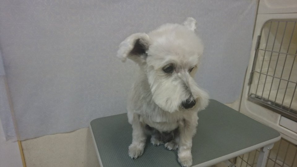 https://www.gurutto-fukushima.com/db_img/cl_img/836/news/images/app_EUiBNS_202402111756.jpg