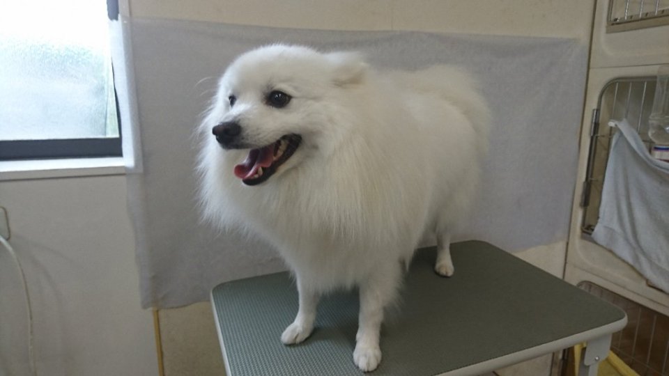 https://www.gurutto-fukushima.com/db_img/cl_img/836/news/images/app_FHIlyh_202405121837.jpg