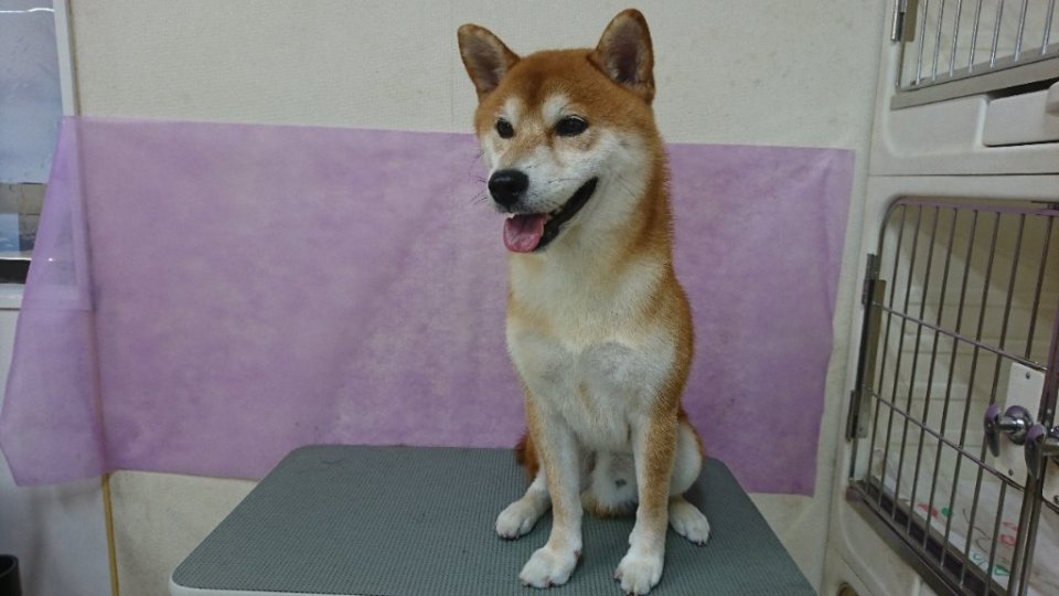 https://www.gurutto-fukushima.com/db_img/cl_img/836/news/images/app_GjP27G_202408031757.jpg