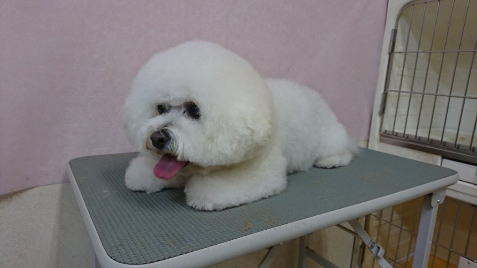 https://www.gurutto-fukushima.com/db_img/cl_img/836/news/images/app_HPDMHR_202311171752.jpg