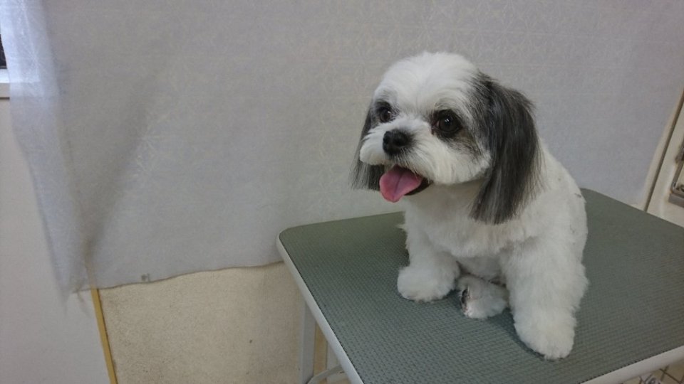 https://www.gurutto-fukushima.com/db_img/cl_img/836/news/images/app_IToMTh_202406221757.jpg