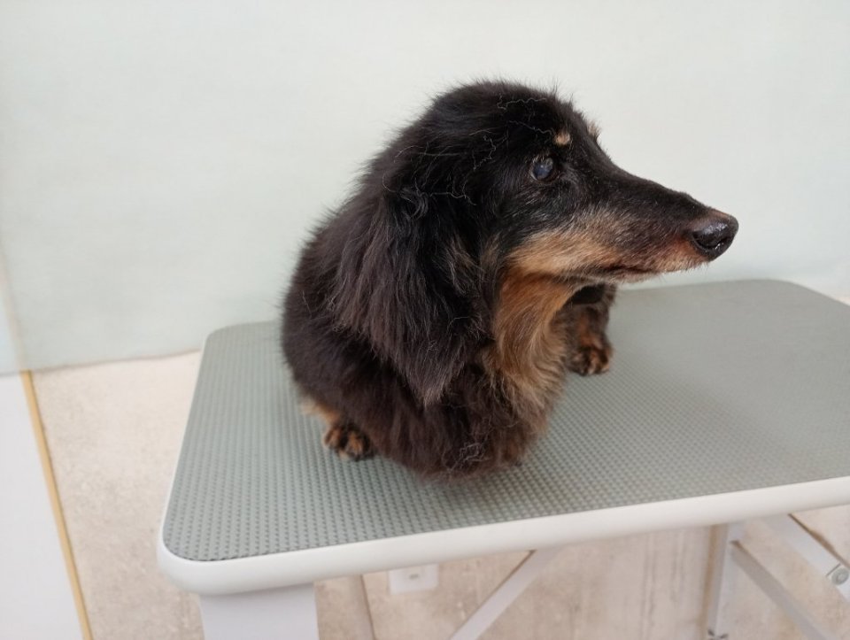https://www.gurutto-fukushima.com/db_img/cl_img/836/news/images/app_JeSfMN_202610281109.jpg