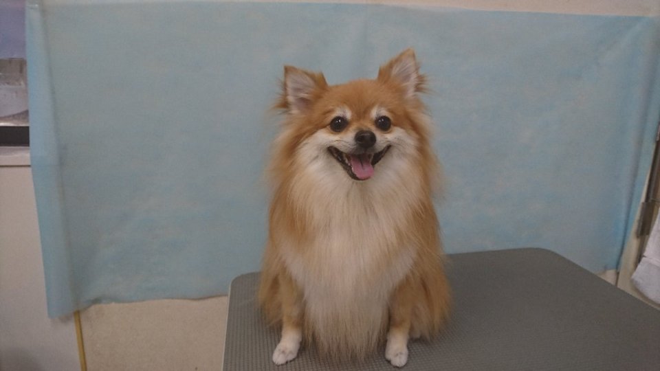 https://www.gurutto-fukushima.com/db_img/cl_img/836/news/images/app_MBvHvM_202410251804.jpg